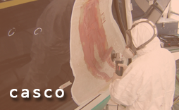 casco | palma composites
